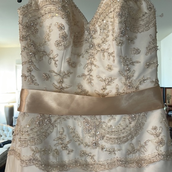 NWOT MAGGIE SOTTERO WEDDING DRESS - Picture 5 of 10